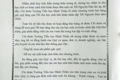 CHI ĐOÀN TRƯỜNG TIỂU HỌC HÀNH THIỆN TỔ CHỨC GIAN HÀNG “TẾT YÊU THƯƠNG” HỖ TRỢ HỌC SINH NGHÈO